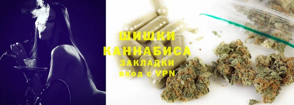гидра Аркадак