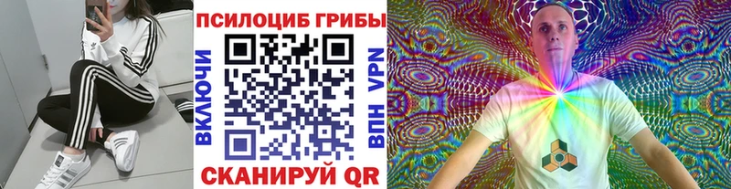 мега рабочий сайт  Сегежа  Галлюциногенные грибы мицелий 
